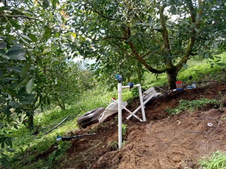 Sistema de riego que se inaugurará hoy en Riosucio. Sistema de riego
