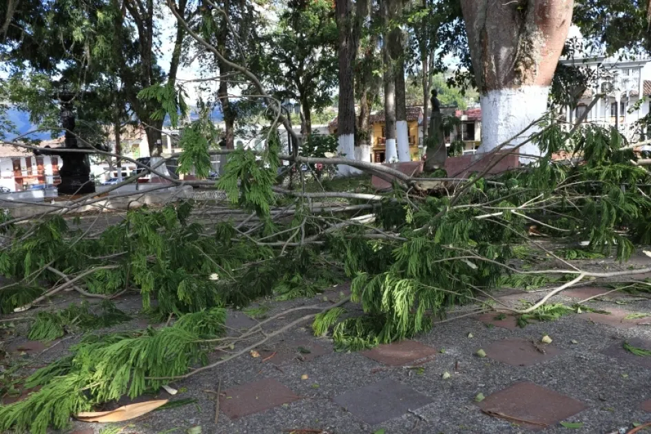 En Salamina las ramas de algunos árboles cayeron sobre el parque del Cementerio y el parque de Bolívar. En Salamina las ramas de algunos árboles cayeron sobre el parque del Cementerio y el parque de Bolívar.