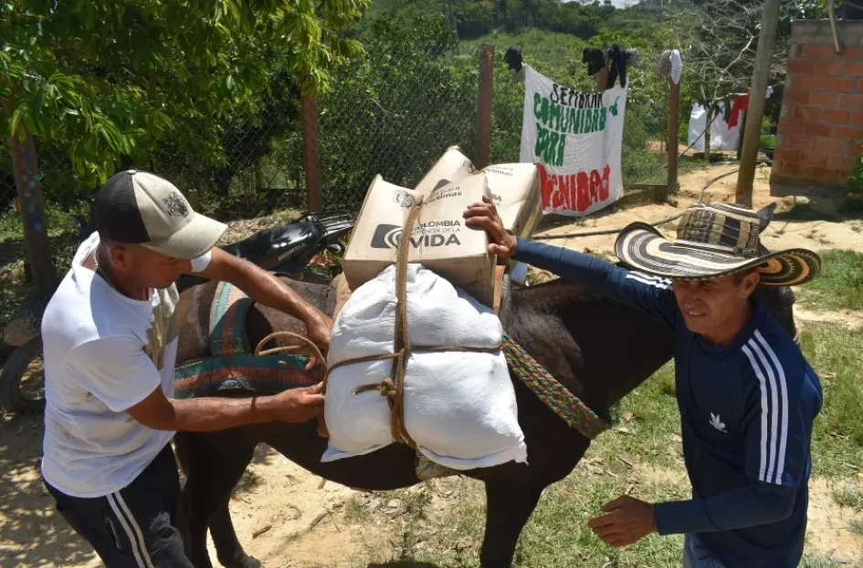 Atienden a 282 familias desplazadas en Segovia (Antioquia) por disputa de grupos armados Atienden a 282 familias desplazadas en Segovia (Antioquia) por disputa de grupos armados