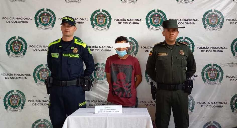 El capturado, conocido como alias Comeperros, presenta anotaciones judiciales por hurto a personas. El capturado, conocido como alias Comeperros, presenta anotaciones judiciales por hurto a personas.