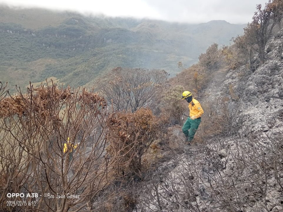 Así quedó el sector de El Sifón en el Parque Nacional Natural Los Nevados luego del incendio de capa vegetal. Así quedó el sector de El Sifón en el Parque Nacional Natural Los Nevados luego del incendio de capa vegetal.