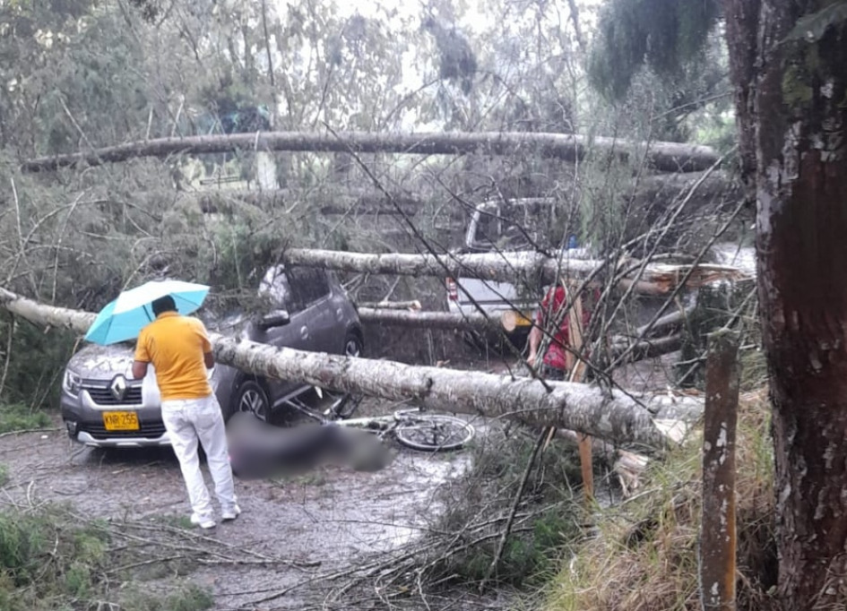 La caída de árboles ocurrió en el tramo vial entre la Iglesia y Termales El Otoño, en Gallinazo (Villamaría).