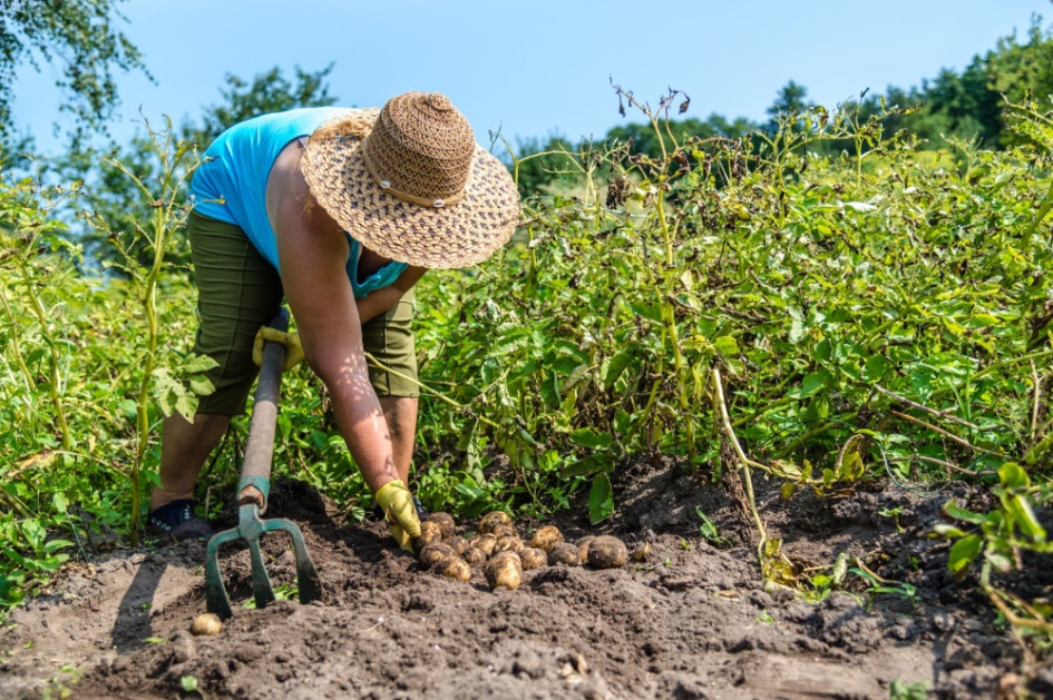 La agricultura creció un 10,2% en abril y la economía nacional repuntó un 5,5%, según el DANE. El Ejecutivo celebró los resultados. Sin embargo, representantes del sector agropecuario cuestionaron la cifra y solicitaron más apoyo. La agricultura creció un 10,2% en abril y la economía nacional repuntó un 5,5%, según el DANE. El Ejecutivo celebró los resultados. Sin embargo, representantes del sector agropecuario cuestionaron la cifra y solicitaron más apoyo.