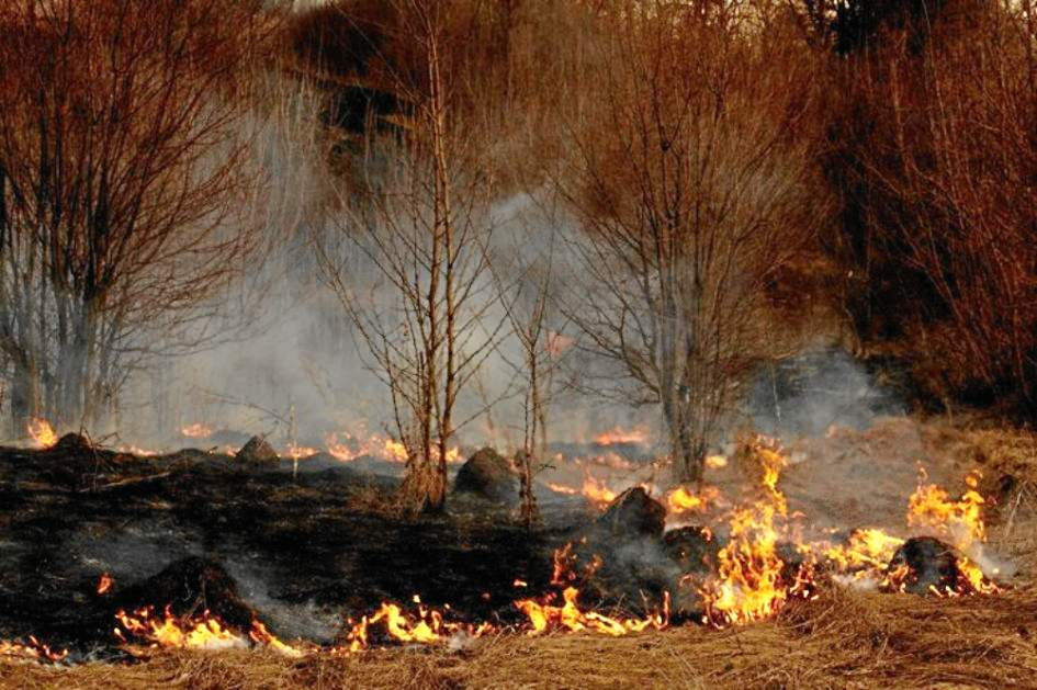 Foto | Freepik | LA PATRIA | Imagen de referencia tomada de Freepik  La provincia de Loja ha sido la más afectada por incendios forestales en la última década, con más de 45.000 hectáreas de vegetación consumidas. Según información oficial ayer había en Ecuador 25 incendios forestales activos. Foto | Freepik | LA PATRIA | Imagen de referencia tomada de Freepik  La provincia de Loja ha sido la más afectada por incendios forestales en la última década, con más de 45.000 hectáreas de vegetación consumidas. Según información oficial ayer había en Ecuador 25 incendios forestales activos.