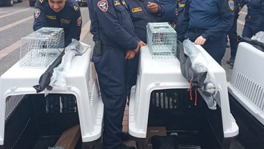 Supimos que: Con sus hombres