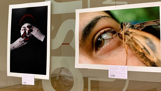 Mariposas, polillas y una comunidad apasionada: el primer Lepifest de Manizales