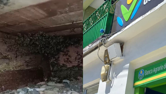 Persiste la amenaza de abejas en el cajero del Banco Agrario en Pácora