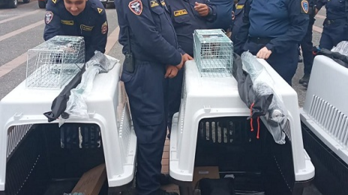 El comandante de Bomberos de Villamaría, capitán Jairo Alarcón, se integró con sus colegas de otros municipios en el encuentro departamental de cuerpos que hubo en Manizales.