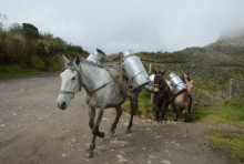 Foto | Freddy Arango | LA PATRIA Camino a Murillo y cuando se ha recorrido una tercera parte de la carretera se llega al sector 