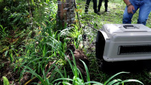 Foto | Cortesía Policía | LA PATRIA El búho fue liberado en el Ecoparque Los Alcázares.