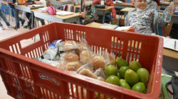 Manizales y Caldas cambian secretarios de Educación: transporte y PAE siguen de retos