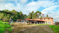 La Universidad de Caldas, entre las mejores 75 del mundo en ranking de medioambiente