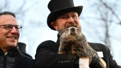 Una marmota predice seis semanas más de invierno, otra muere antes de dar su pronóstico