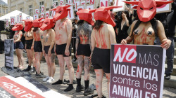 Protestan frente al Congreso de la República para urgir prohibir las corridas de toros