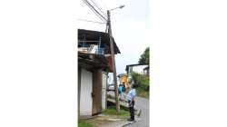 Los postes torcidos del barrio Galán de Manizales, repletos de cables y maleza