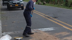 Limpiaron mancha de aceite en la Troncal de Occidente, en Anserma (Caldas)