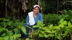 Caficultoras, unidas por un mundo sostenible: explican los retos ambientales de Caldas