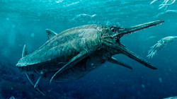 Una niña descubre los restos que confirman una nueva especie de reptil marino gigante