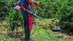 Accidente laboral: se quemó el 40% del cuerpo cuando podaba en Anserma (Caldas)