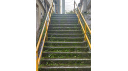 Las escalas que se volvieron verdes y peligrosas, además olvidadas en barrio de Manizales