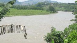 Hallan un cuerpo en el río Cauca, a su paso por el Kilómetro 41 (Manizales): es un caleño