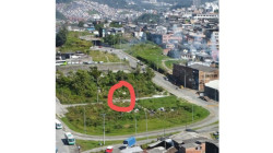 Hallan muertos y abandonados en la basura a dos fetos en Manizales