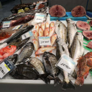 Se perderán vidas si gobiernos no reaccionan ante la inflación, dice Olivier De Schutter