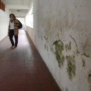 Anuncios al Inem en Manizales: plata, inicio de obra y fecha de posible regreso a su sede 