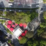 Científicos urgen a cuidar y aumentar espacios verdes para la salud humana