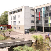 Fallo de la Procuraduría: suspensión a exfuncionaria de la U. de Caldas por acoso laboral 