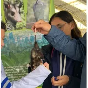 Por visita de zarigüeyas, en el Instituto Chipre se educan sobre la fauna silvestre 