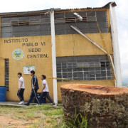 Colegio Pablo VI, de Manizales, hace exigencias luego de la caída un árbol 