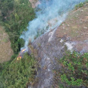 25 hectáreas se quemaron en incendio forestal en el corregimiento Buenos Aires (Pácora)