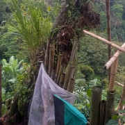 Cuerpo hallado en Chinchiná (Caldas) lo identificaron por un tatuaje de 'María'