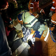 A Maggie la encontraron en una ladera de la Panamericana (Manizales)