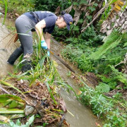 Limpiaron las fuentes hídricas de Pácora por el Día del Medioambiente
